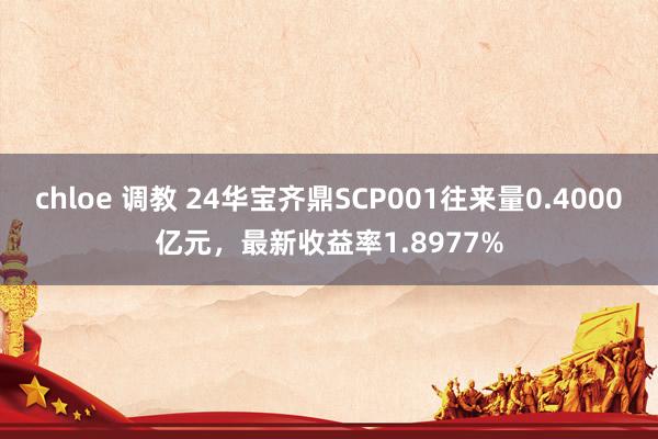 chloe 调教 24华宝齐鼎SCP001往来量0.4000亿元，最新收益率1.8977%