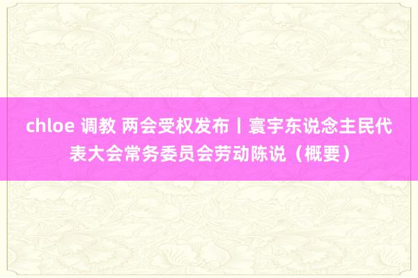 chloe 调教 两会受权发布丨寰宇东说念主民代表大会常务委员会劳动陈说（概要）