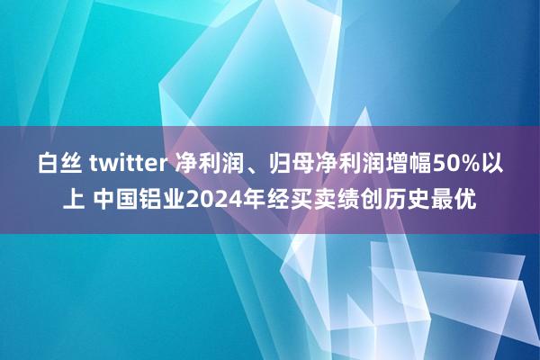 白丝 twitter 净利润、归母净利润增幅50%以上 中国铝业2024年经买卖绩创历史最优