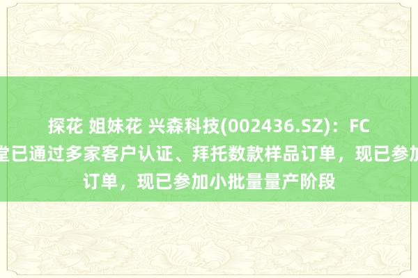 探花 姐妹花 兴森科技(002436.SZ)：FCBGA封装基板名堂已通过多家客户认证、拜托数款样品订单，现已参加小批量量产阶段