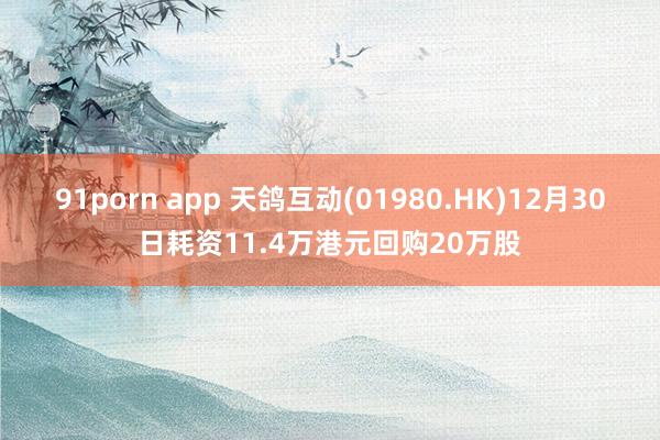 91porn app 天鸽互动(01980.HK)12月30日耗资11.4万港元回购20万股
