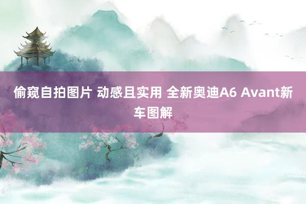 偷窥自拍图片 动感且实用 全新奥迪A6 Avant新车图解