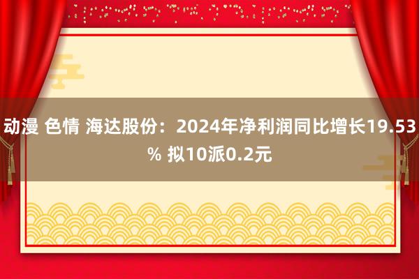动漫 色情 海达股份：2024年净利润同比增长19.53% 拟10派0.2元