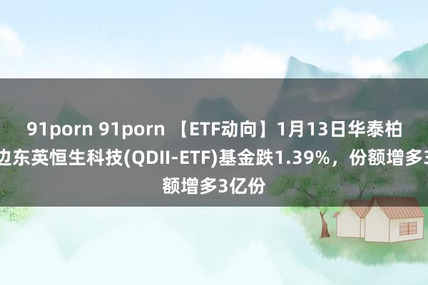 91porn 91porn 【ETF动向】1月13日华泰柏瑞南边东英恒生科技(QDII-ETF)基金跌1.39%，份额增多3亿份