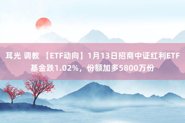 耳光 调教 【ETF动向】1月13日招商中证红利ETF基金跌1.02%，份额加多5800万份