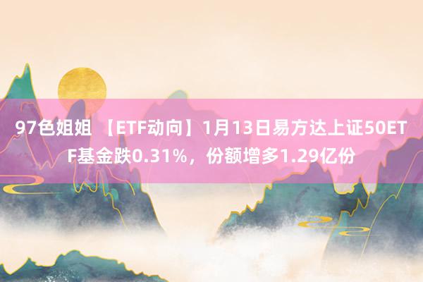 97色姐姐 【ETF动向】1月13日易方达上证50ETF基金跌0.31%，份额增多1.29亿份