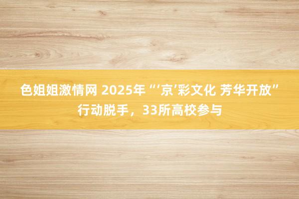 色姐姐激情网 2025年“‘京’彩文化 芳华开放”行动脱手，33所高校参与