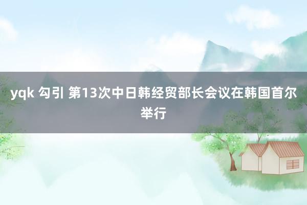 yqk 勾引 第13次中日韩经贸部长会议在韩国首尔举行
