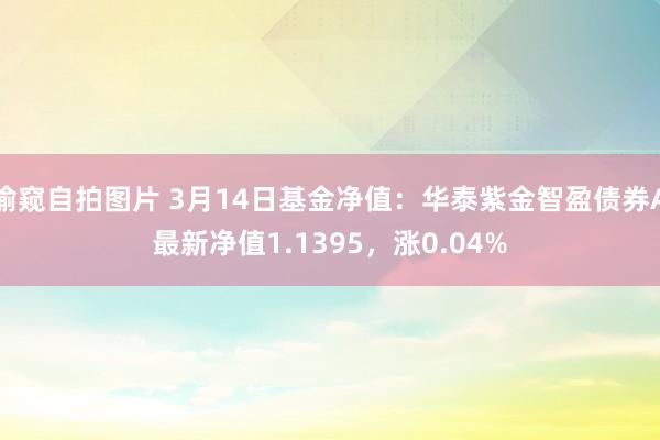 偷窥自拍图片 3月14日基金净值：华泰紫金智盈债券A最新净值1.1395，涨0.04%