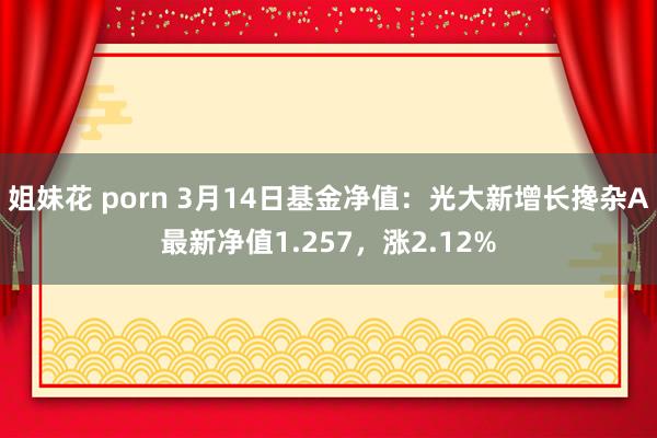 姐妹花 porn 3月14日基金净值：光大新增长搀杂A最新净值1.257，涨2.12%