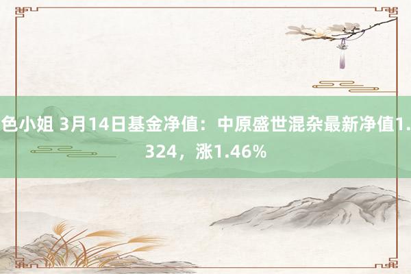 色小姐 3月14日基金净值：中原盛世混杂最新净值1.324，涨1.46%