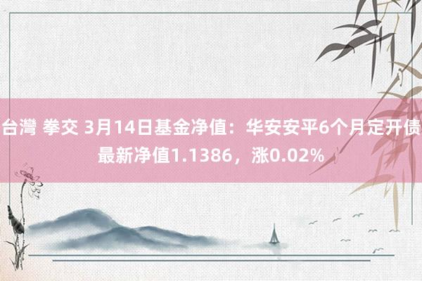 台灣 拳交 3月14日基金净值：华安安平6个月定开债最新净值1.1386，涨0.02%