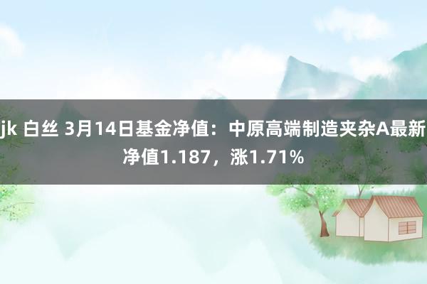 jk 白丝 3月14日基金净值：中原高端制造夹杂A最新净值1.187，涨1.71%