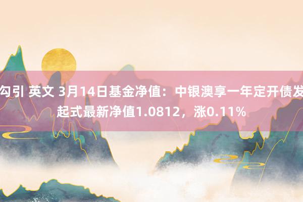 勾引 英文 3月14日基金净值：中银澳享一年定开债发起式最新净值1.0812，涨0.11%