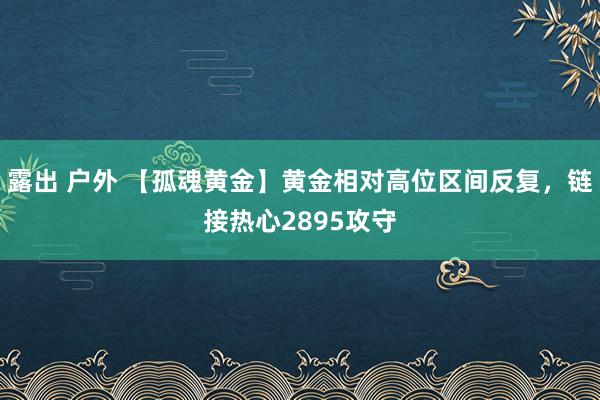 露出 户外 【孤魂黄金】黄金相对高位区间反复，链接热心2895攻守