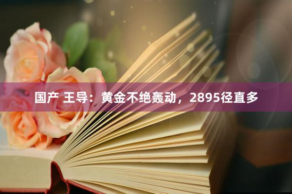 国产 王导：黄金不绝轰动，2895径直多