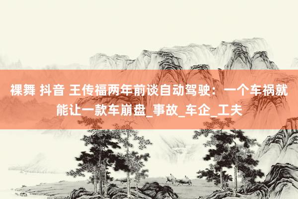 裸舞 抖音 王传福两年前谈自动驾驶：一个车祸就能让一款车崩盘_事故_车企_工夫
