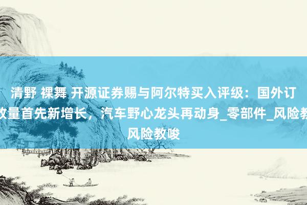 清野 裸舞 开源证券赐与阿尔特买入评级：国外订单放量首先新增长，汽车野心龙头再动身_零部件_风险教唆