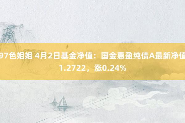 97色姐姐 4月2日基金净值：国金惠盈纯债A最新净值1.2722，涨0.24%