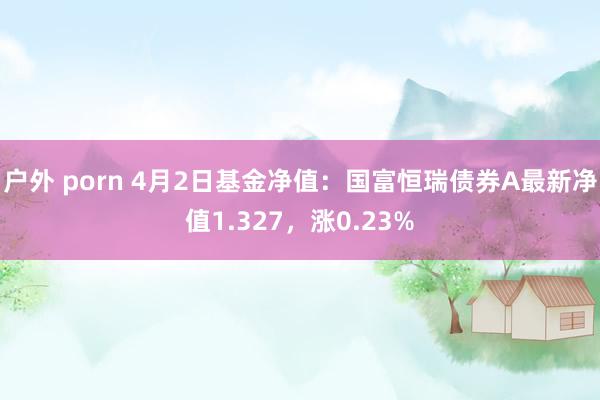 户外 porn 4月2日基金净值：国富恒瑞债券A最新净值1.327，涨0.23%