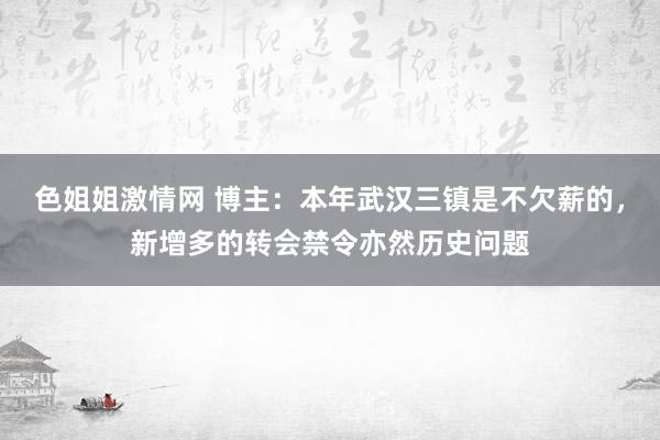 色姐姐激情网 博主：本年武汉三镇是不欠薪的，新增多的转会禁令亦然历史问题