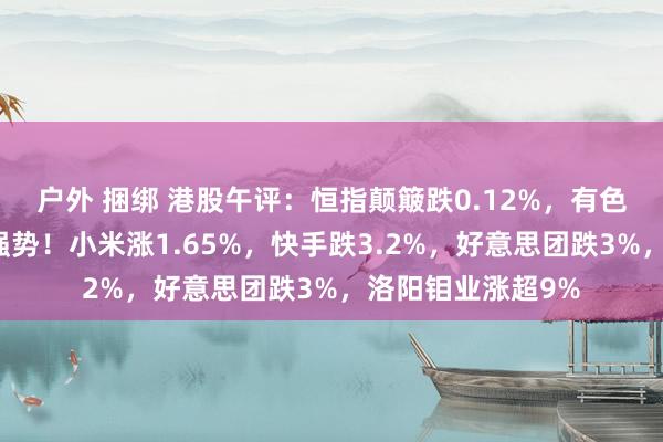 户外 捆绑 港股午评：恒指颠簸跌0.12%，有色金属股、家电股强势！小米涨1.65%，快手跌3.2%，好意思团跌3%，洛阳钼业涨超9%