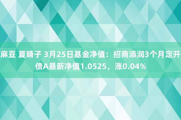 麻豆 夏晴子 3月25日基金净值：招商添润3个月定开债A最新净值1.0525，涨0.04%