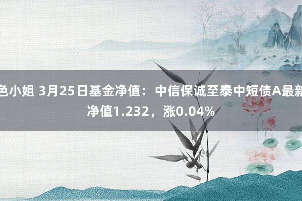 色小姐 3月25日基金净值：中信保诚至泰中短债A最新净值1.232，涨0.04%