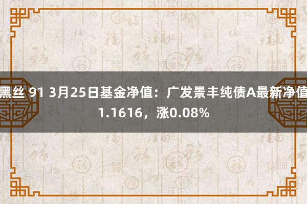 黑丝 91 3月25日基金净值：广发景丰纯债A最新净值1.1616，涨0.08%