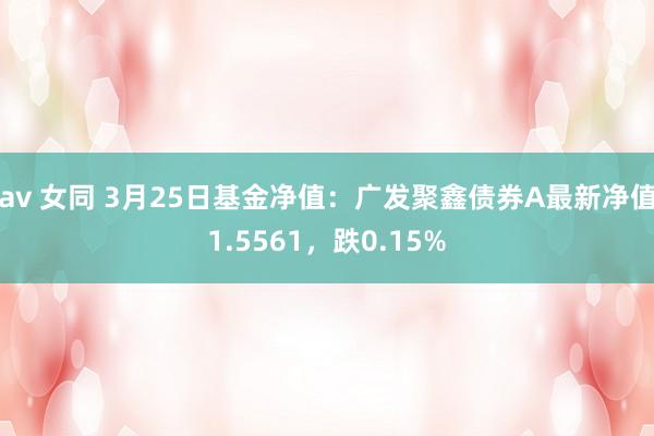 av 女同 3月25日基金净值：广发聚鑫债券A最新净值1.5561，跌0.15%