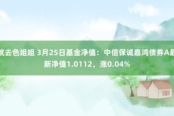 就去色姐姐 3月25日基金净值：中信保诚嘉鸿债券A最新净值1.0112，涨0.04%