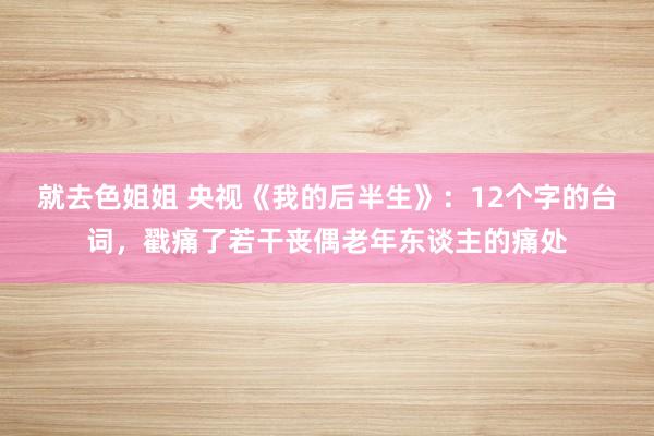 就去色姐姐 央视《我的后半生》：12个字的台词，戳痛了若干丧偶老年东谈主的痛处