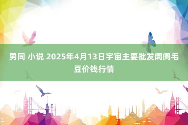 男同 小说 2025年4月13日宇宙主要批发阛阓毛豆价钱行情