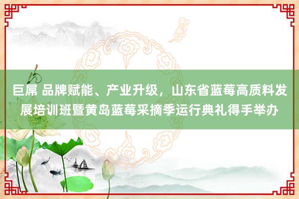 巨屌 品牌赋能、产业升级，山东省蓝莓高质料发展培训班暨黄岛蓝莓采摘季运行典礼得手举办