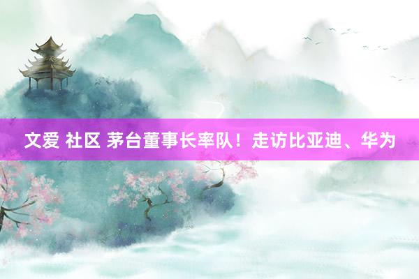 文爱 社区 茅台董事长率队！走访比亚迪、华为