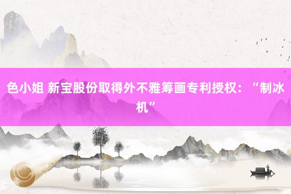 色小姐 新宝股份取得外不雅筹画专利授权：“制冰机”