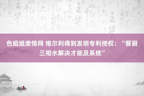 色姐姐激情网 维尔利得到发明专利授权：“餐厨三相水解决才能及系统”