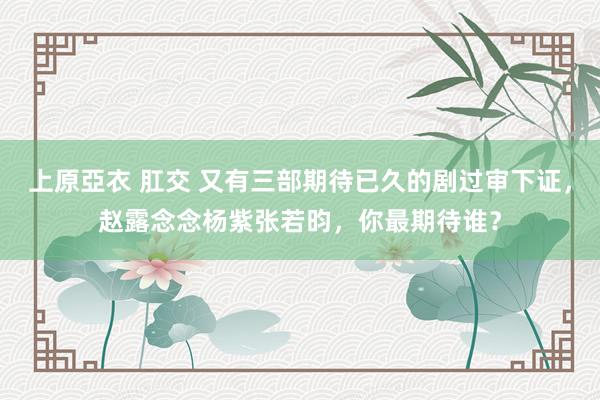 上原亞衣 肛交 又有三部期待已久的剧过审下证，赵露念念杨紫张若昀，你最期待谁？