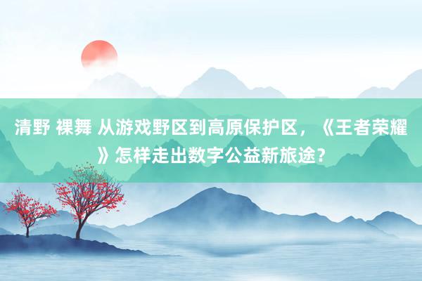 清野 裸舞 从游戏野区到高原保护区，《王者荣耀》怎样走出数字公益新旅途？