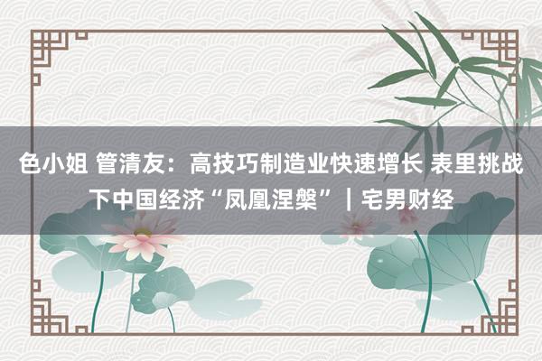 色小姐 管清友：高技巧制造业快速增长 表里挑战下中国经济“凤凰涅槃”｜宅男财经