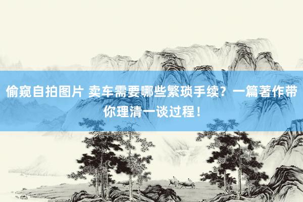 偷窥自拍图片 卖车需要哪些繁琐手续？一篇著作带你理清一谈过程！