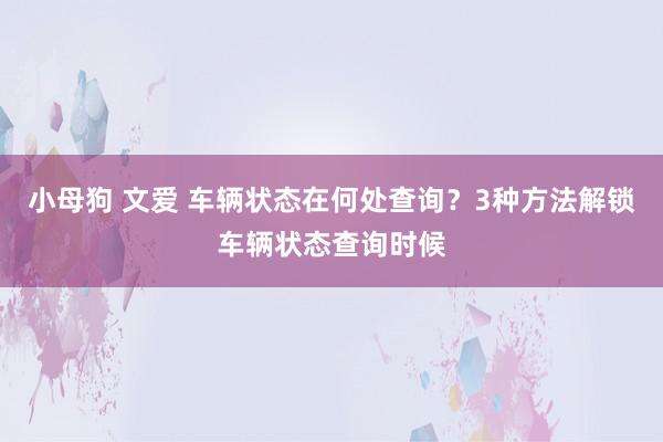 小母狗 文爱 车辆状态在何处查询？3种方法解锁车辆状态查询时候