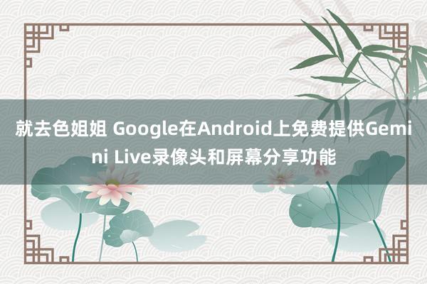 就去色姐姐 Google在Android上免费提供Gemini Live录像头和屏幕分享功能
