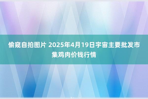 偷窥自拍图片 2025年4月19日宇宙主要批发市集鸡肉价钱行情