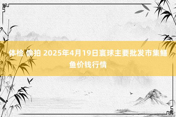 体检 偷拍 2025年4月19日寰球主要批发市集鳝鱼价钱行情