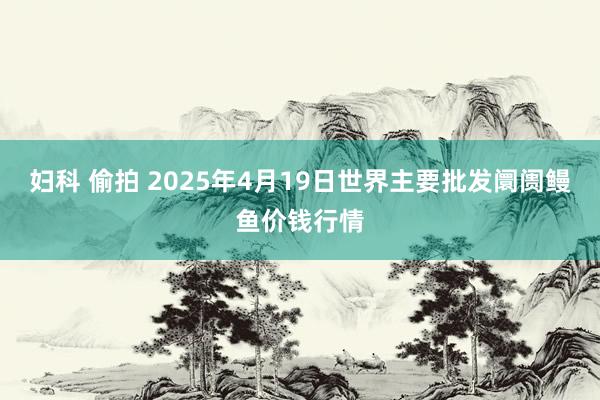 妇科 偷拍 2025年4月19日世界主要批发阛阓鳗鱼价钱行情