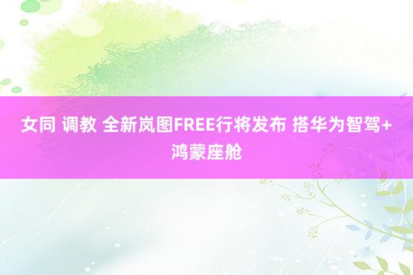 女同 调教 全新岚图FREE行将发布 搭华为智驾+鸿蒙座舱