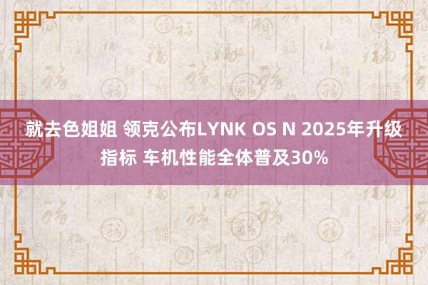 就去色姐姐 领克公布LYNK OS N 2025年升级指标 车机性能全体普及30%