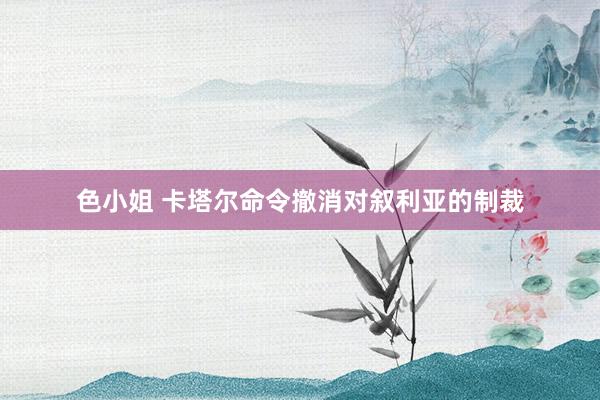 色小姐 卡塔尔命令撤消对叙利亚的制裁