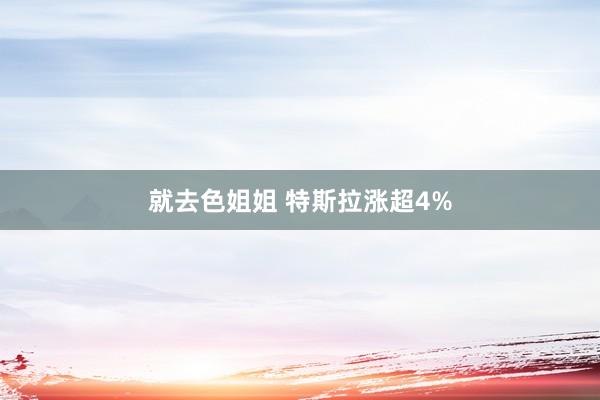 就去色姐姐 特斯拉涨超4%